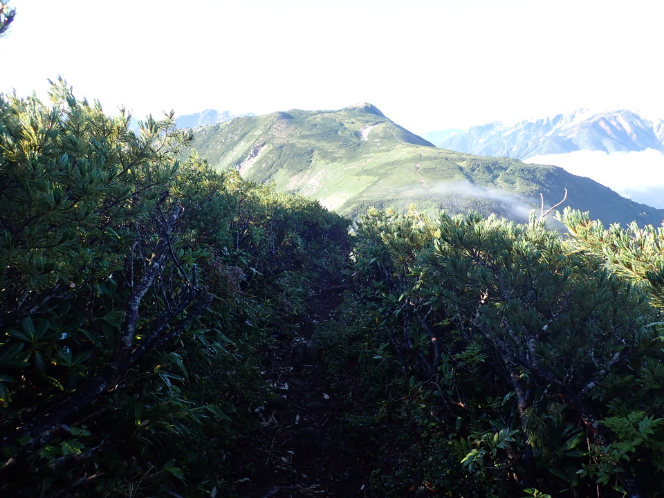 P8272857_mid.jpg