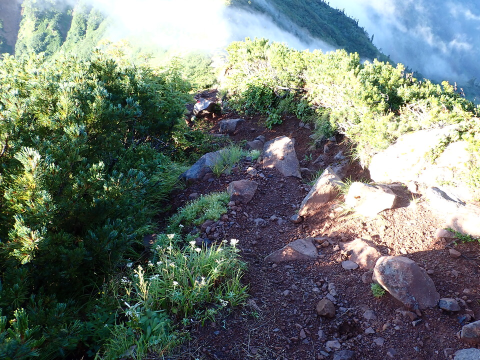 P8272859_mid.jpg