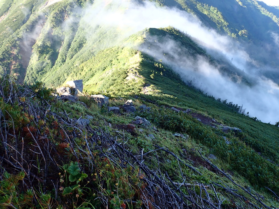 P8272861_mid.jpg