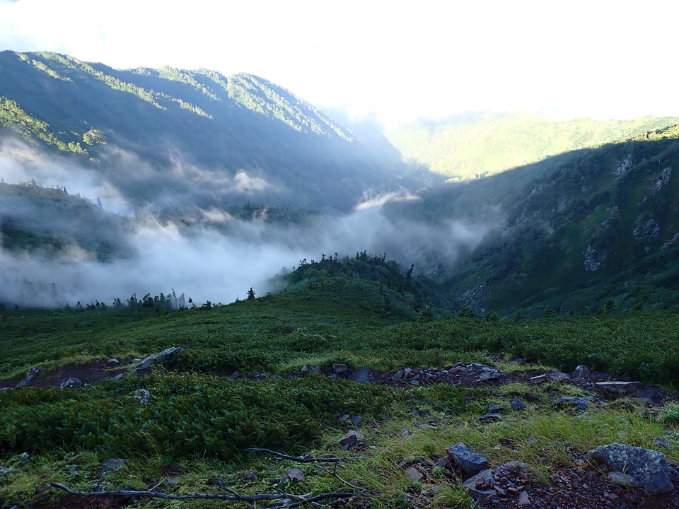 P8272864_mid.jpg