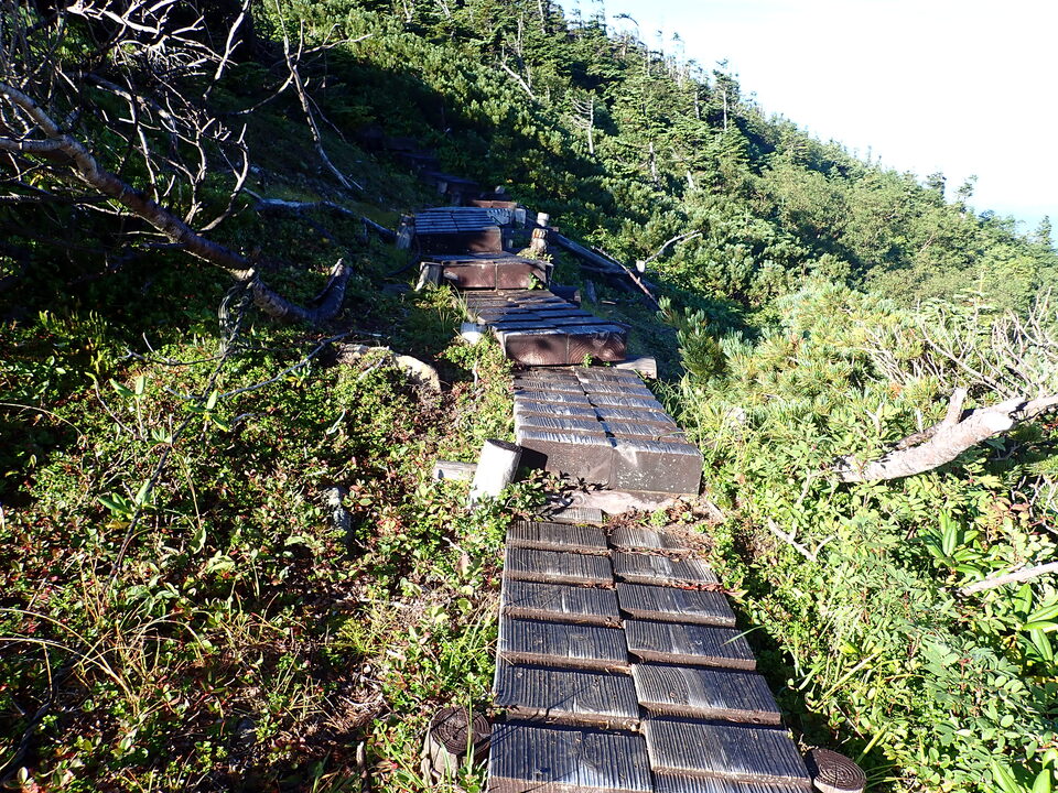 P8272875_mid.jpg