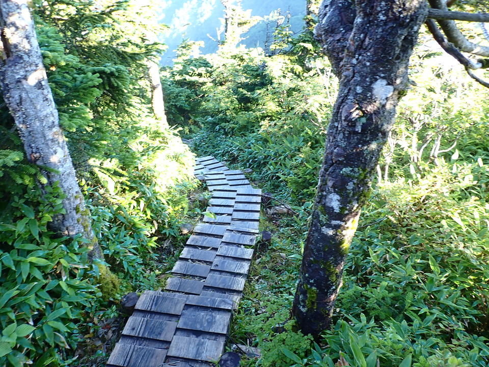 P8272878_mid.jpg