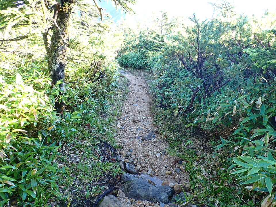 P8272880_mid.jpg