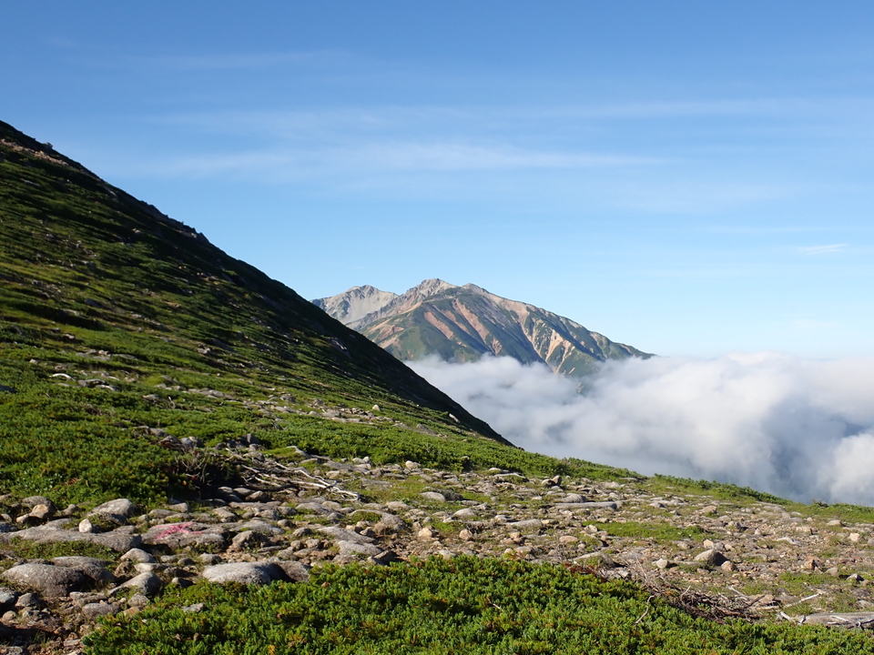 P8272891_mid.jpg