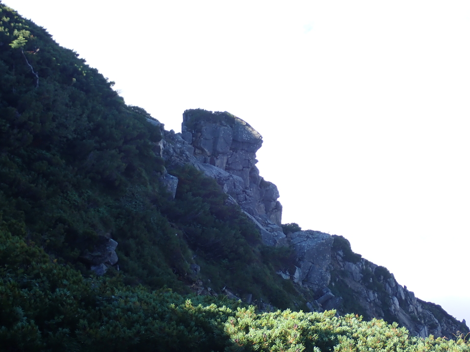 P8272902_mid.jpg