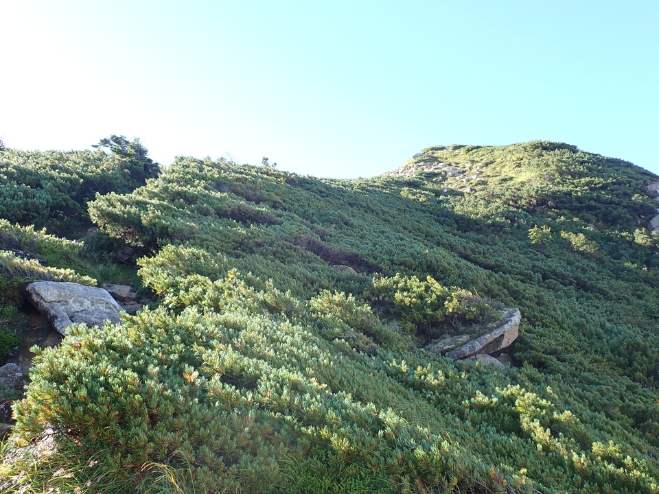 P8272903_mid.jpg