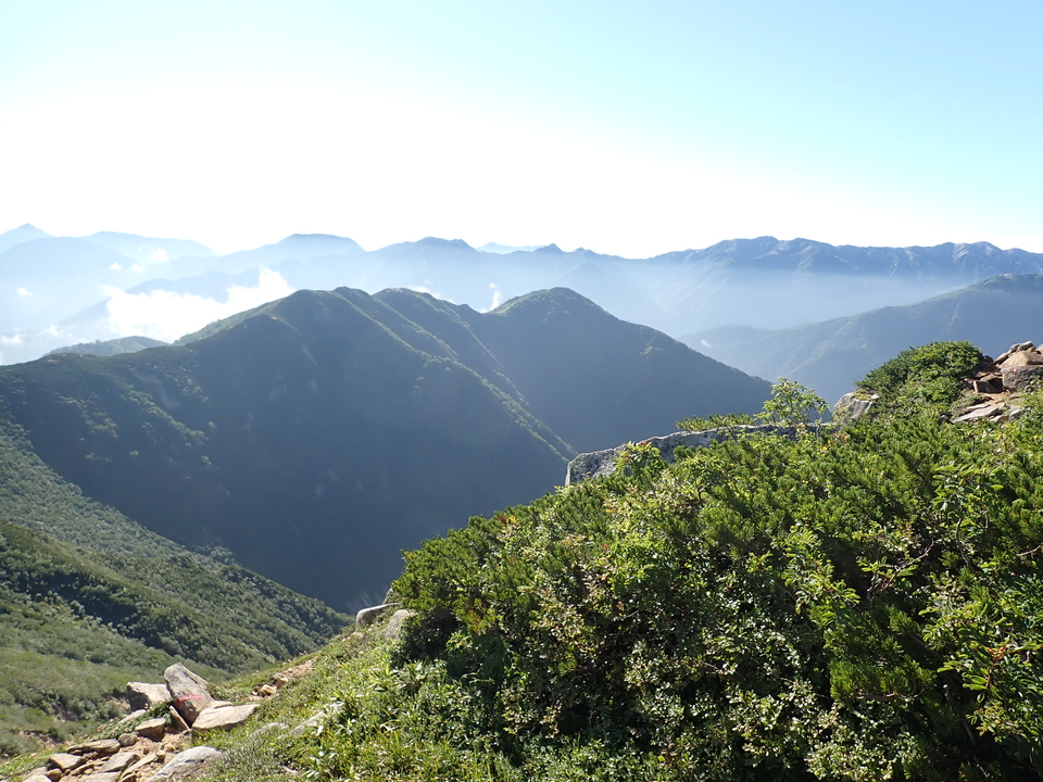 P8272911_mid.jpg