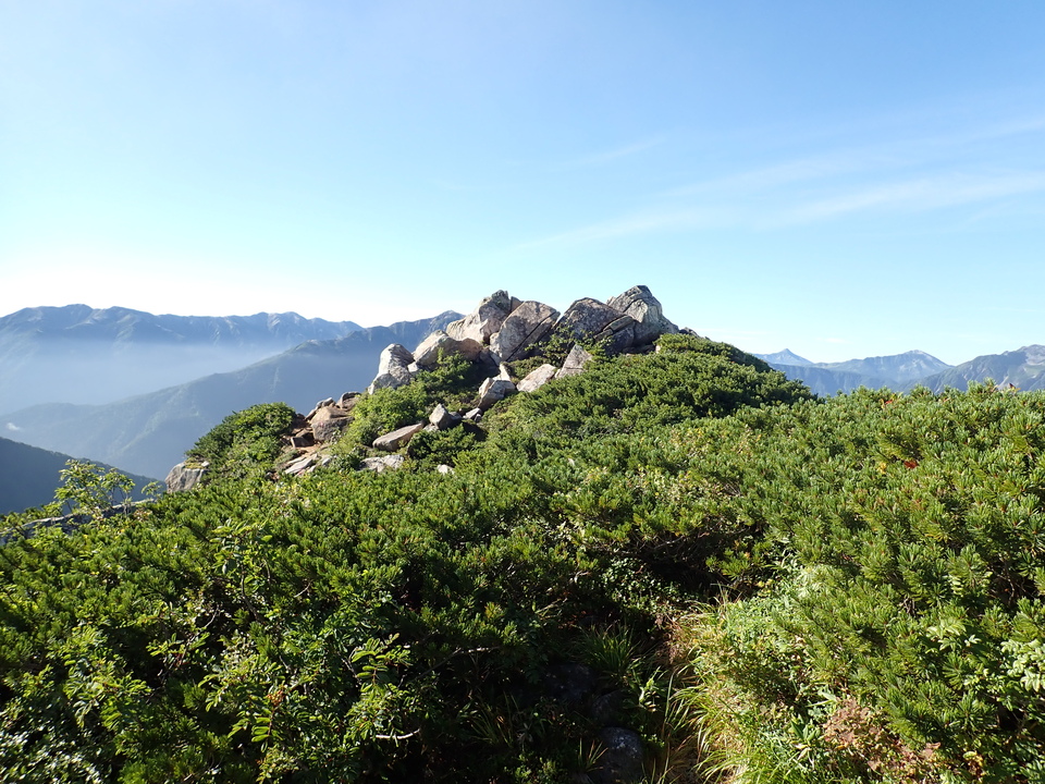 P8272912_mid.jpg