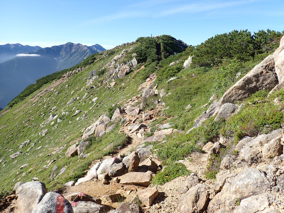 P8272913_mid.jpg