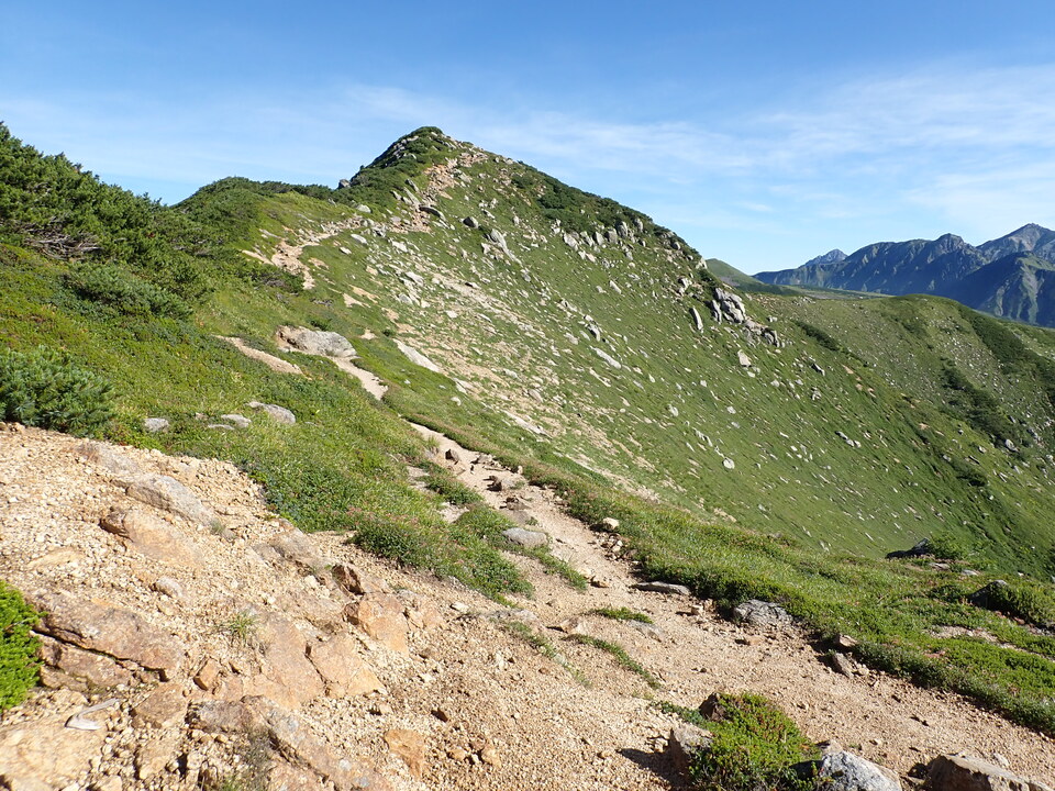 P8272940_mid.jpg