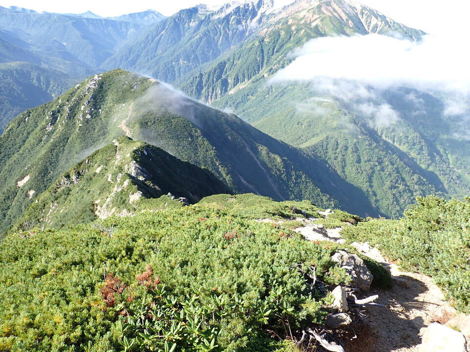 P8272942_mid.jpg
