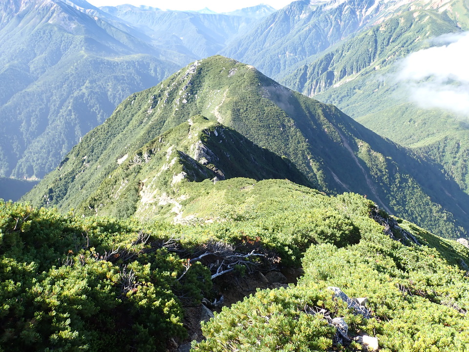 P8272944_mid.jpg