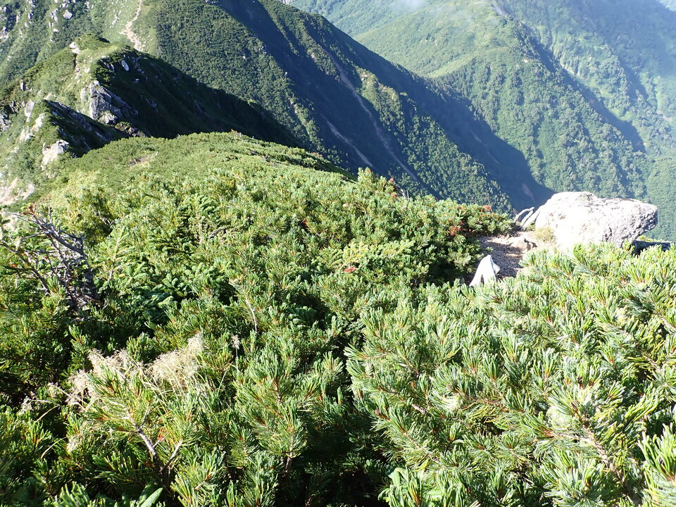 P8272946_mid.jpg