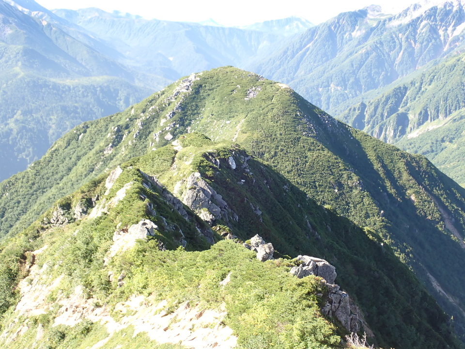P8272953_mid.jpg