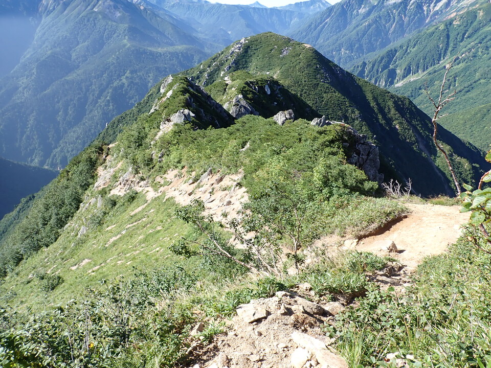 P8272954_mid.jpg