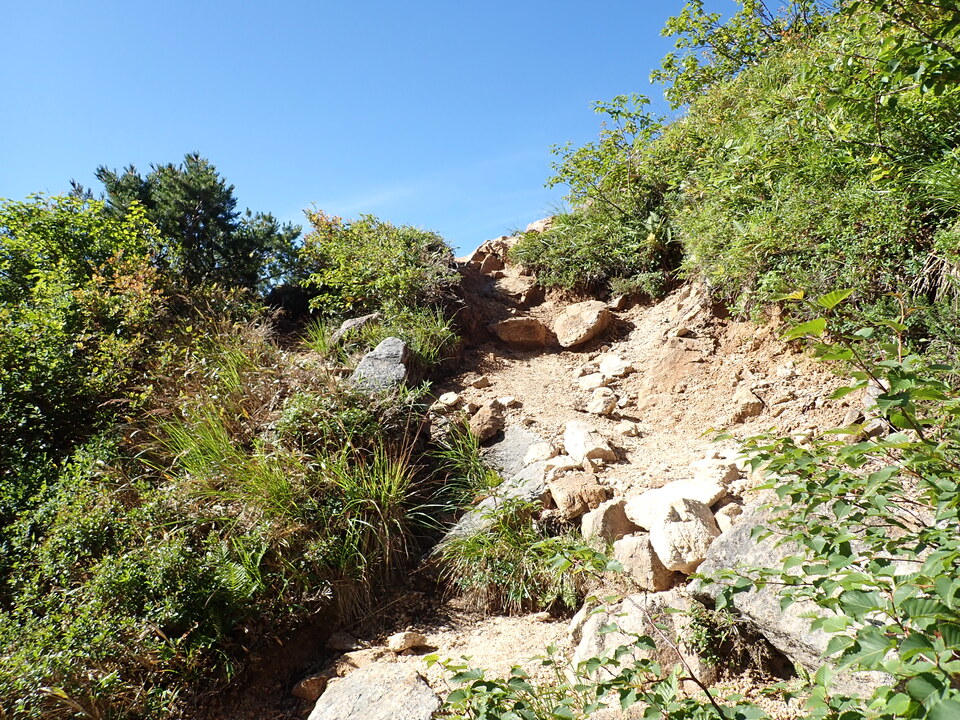 P8272957_mid.jpg
