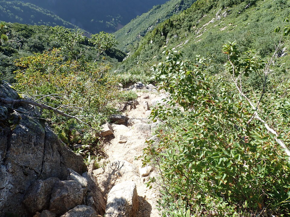 P8272958_mid.jpg