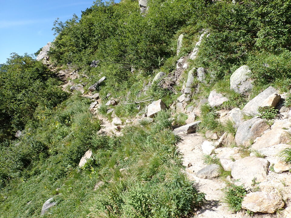 P8272960_mid.jpg