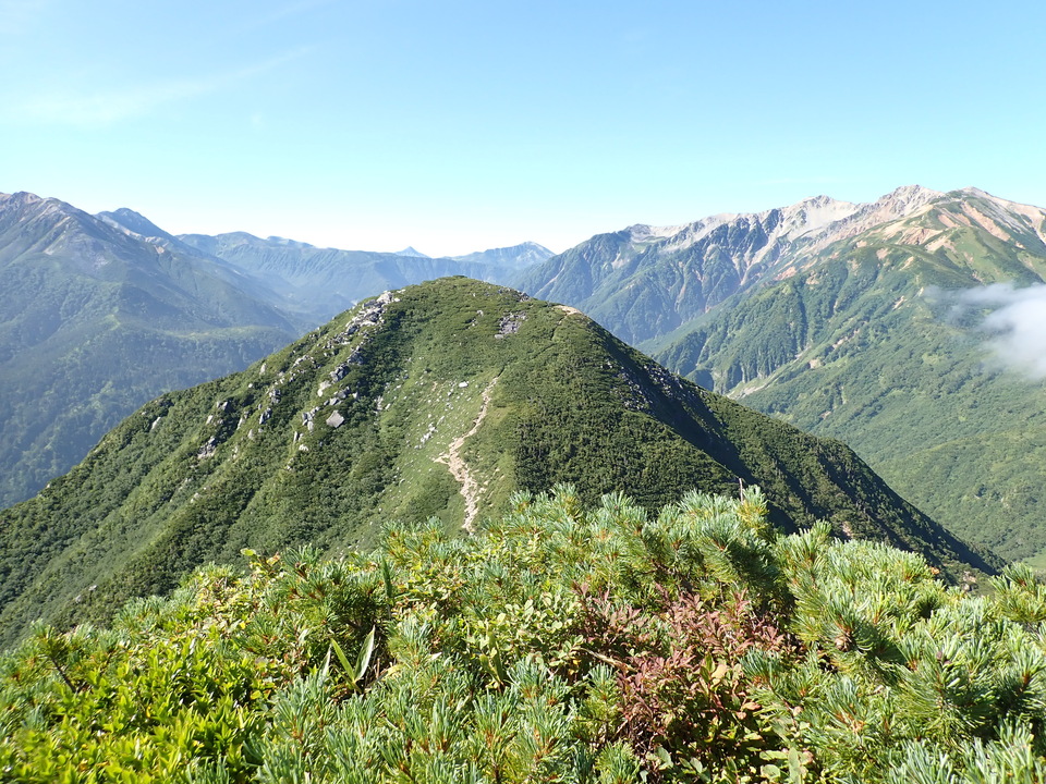 P8272970_mid.jpg