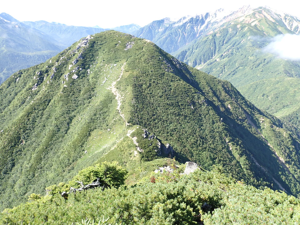 P8272972_mid.jpg