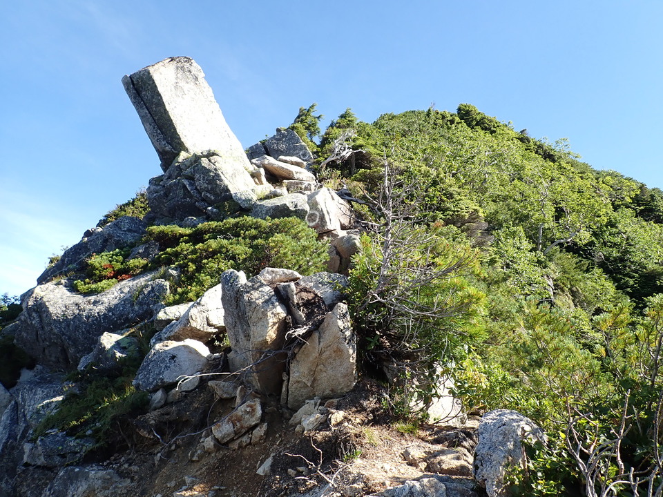 P8272978_mid.jpg