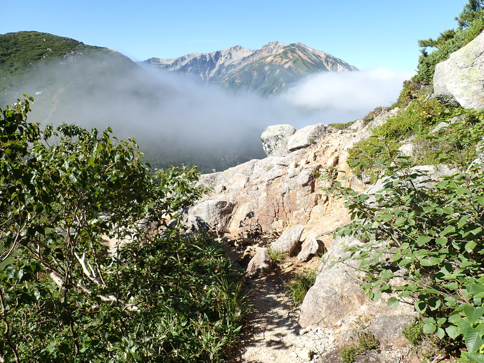 P8272980_mid.jpg