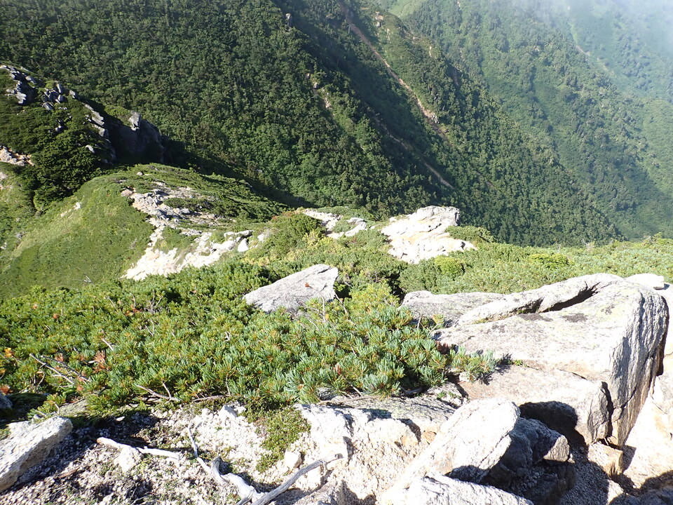 P8272981_mid.jpg