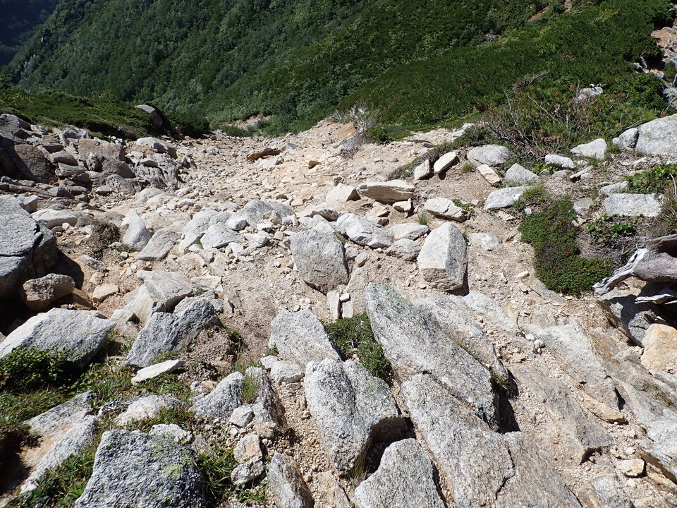 P8272987_mid.jpg