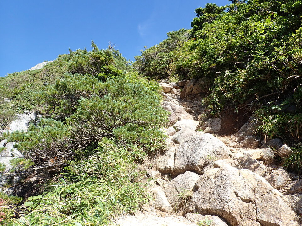 P8272992_mid.jpg