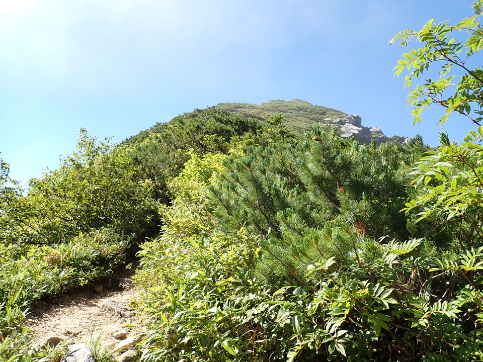 P8272994_mid.jpg