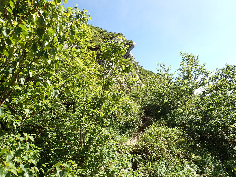 P8272995_mid.jpg