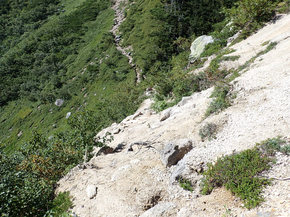 P8272999_mid.jpg