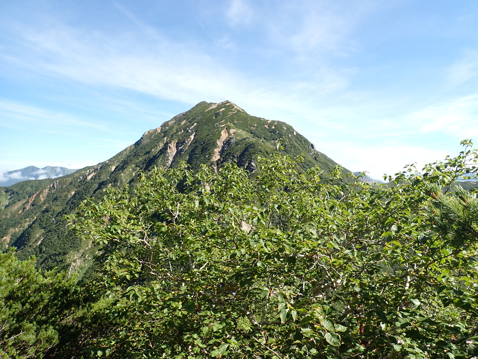 P8273006_mid.jpg