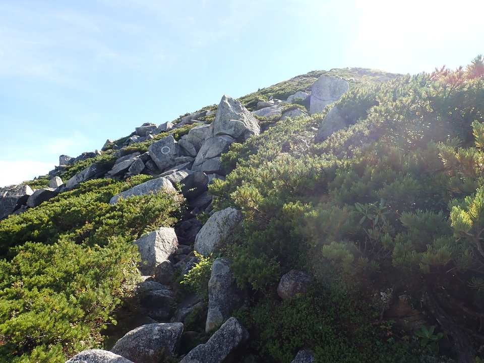 P8273021_mid.jpg