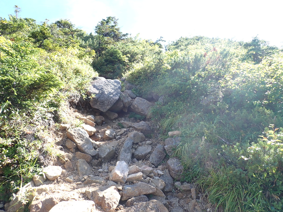 P8273027_mid.jpg