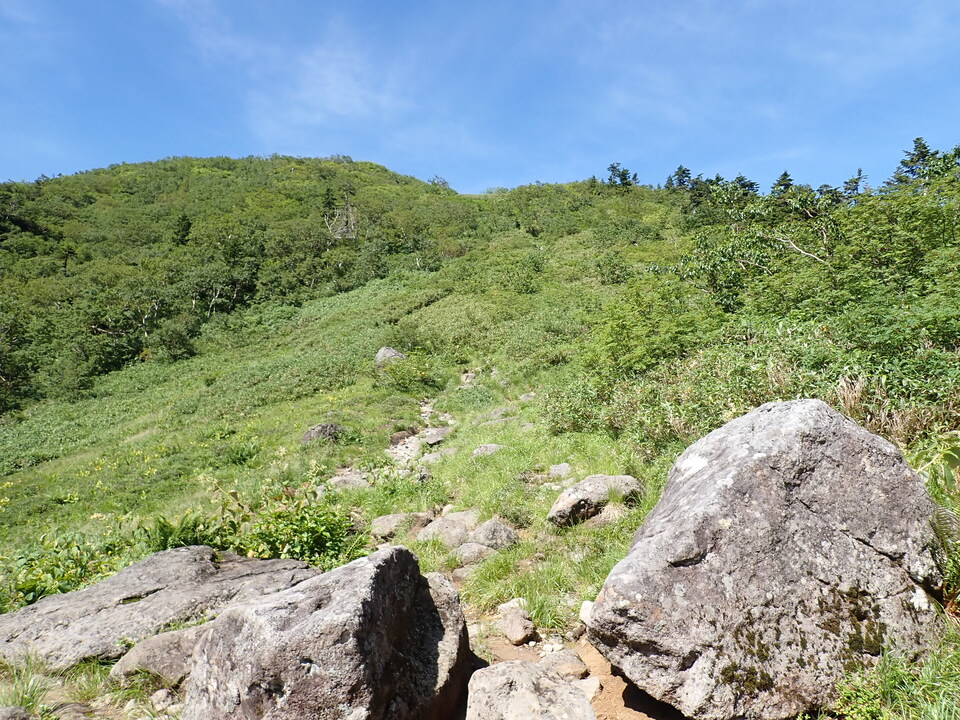 P8273036_mid.jpg