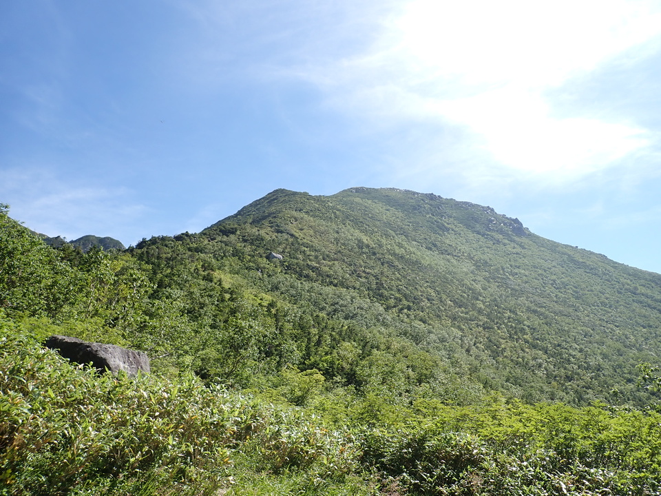 P8273037_mid.jpg