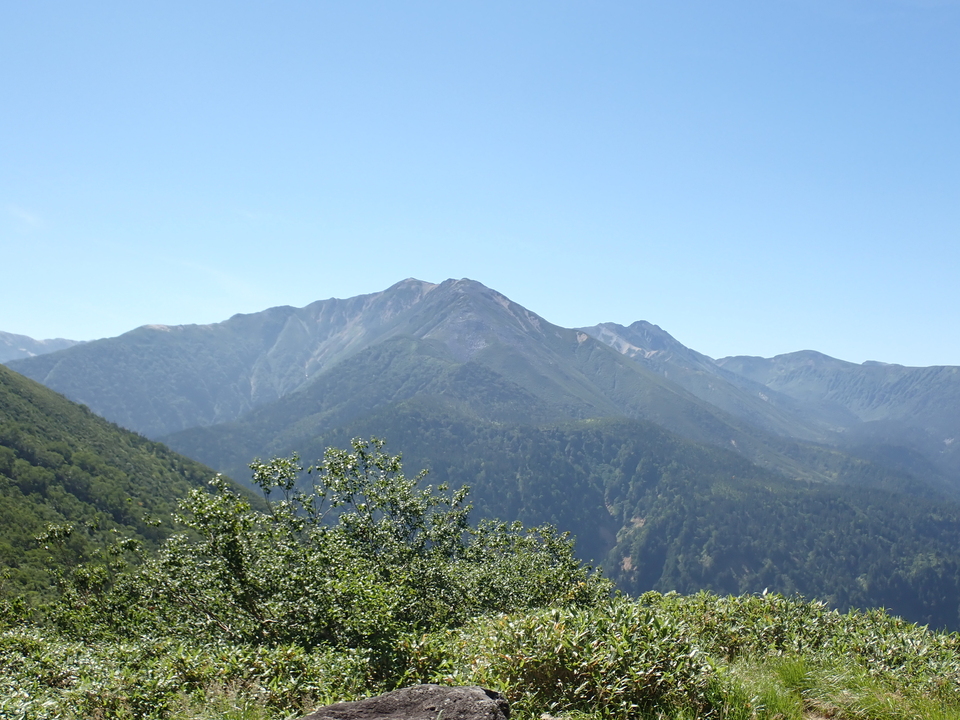 P8273038_mid.jpg