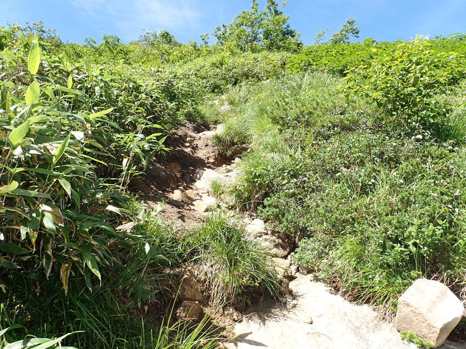 P8273043_mid.jpg