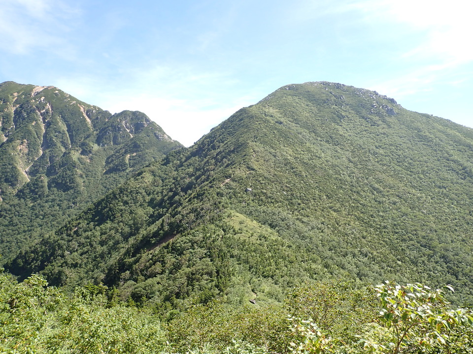 P8273045_mid.jpg