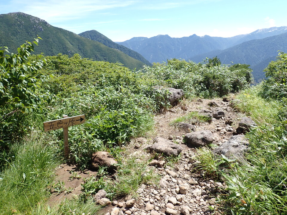 P8273046_mid.jpg