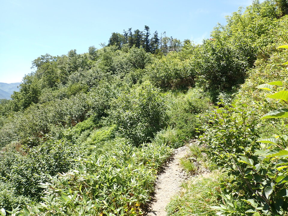 P8273052_mid.jpg