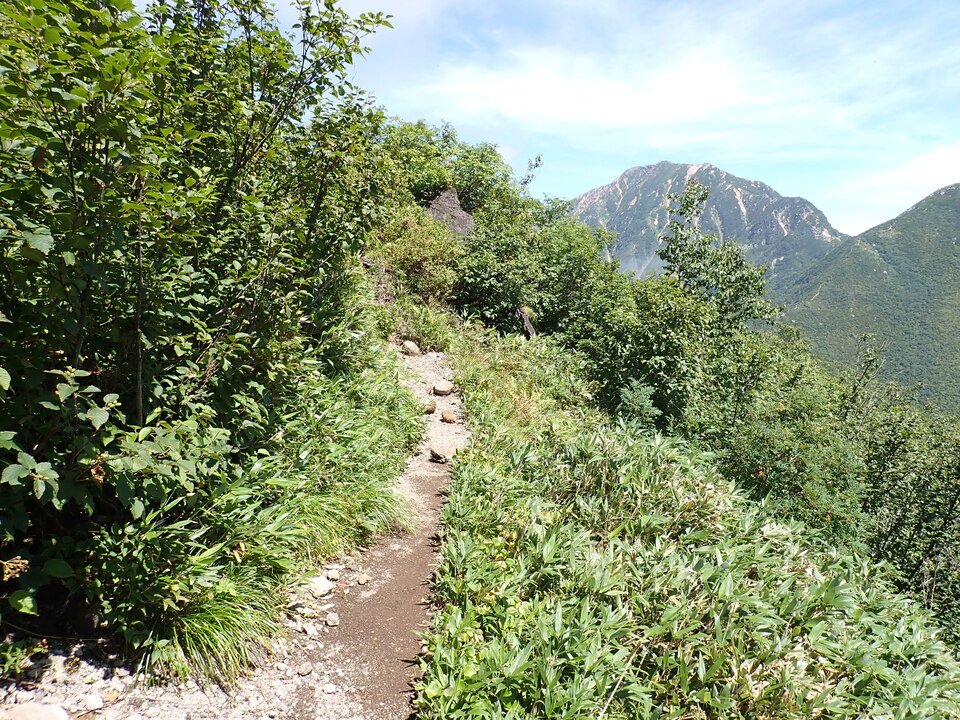 P8273053_mid.jpg