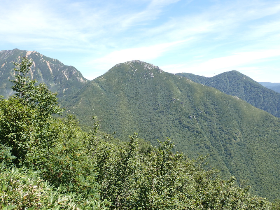 P8273054_mid.jpg
