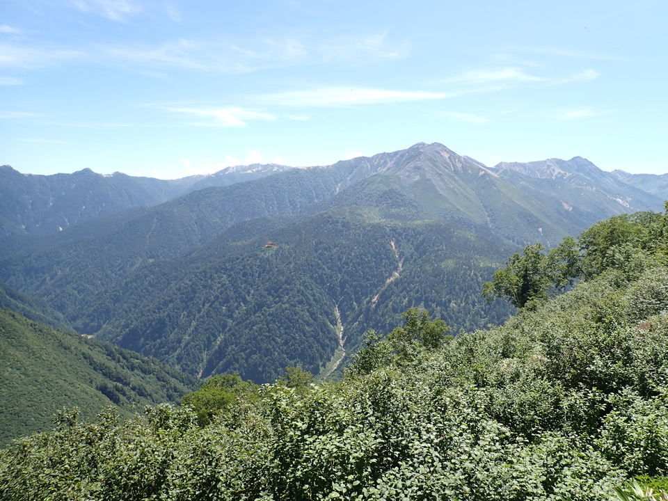 P8273055_mid.jpg