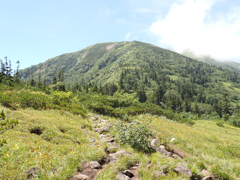 P8273056_mid.jpg