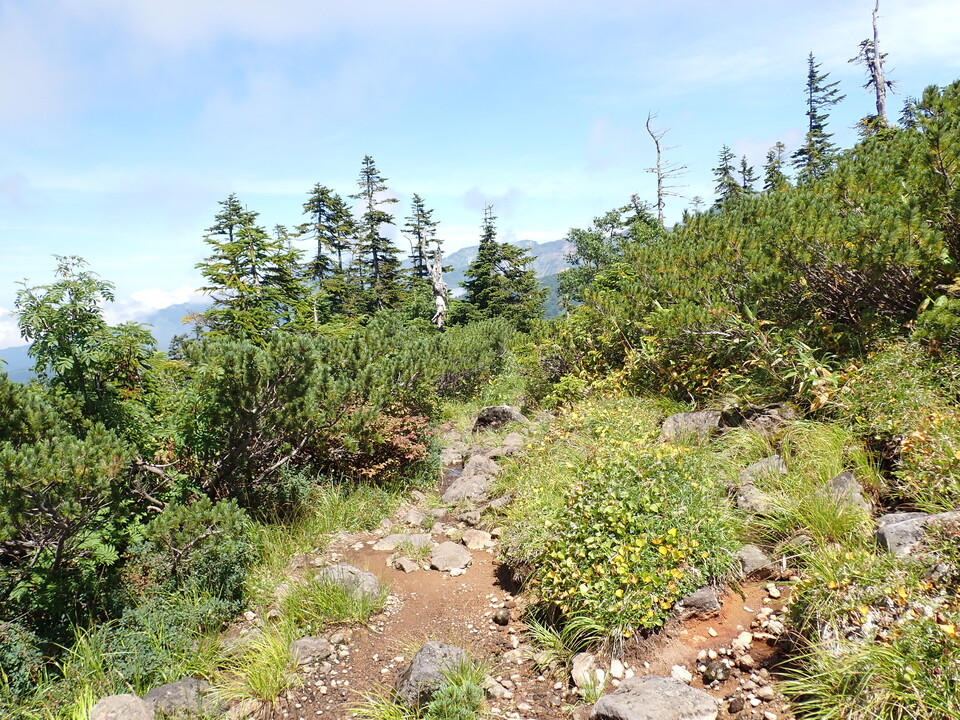 P8273057_mid.jpg