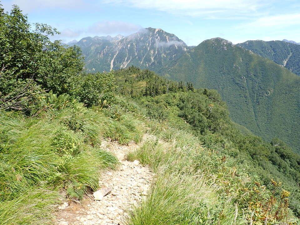 P8273064_mid.jpg