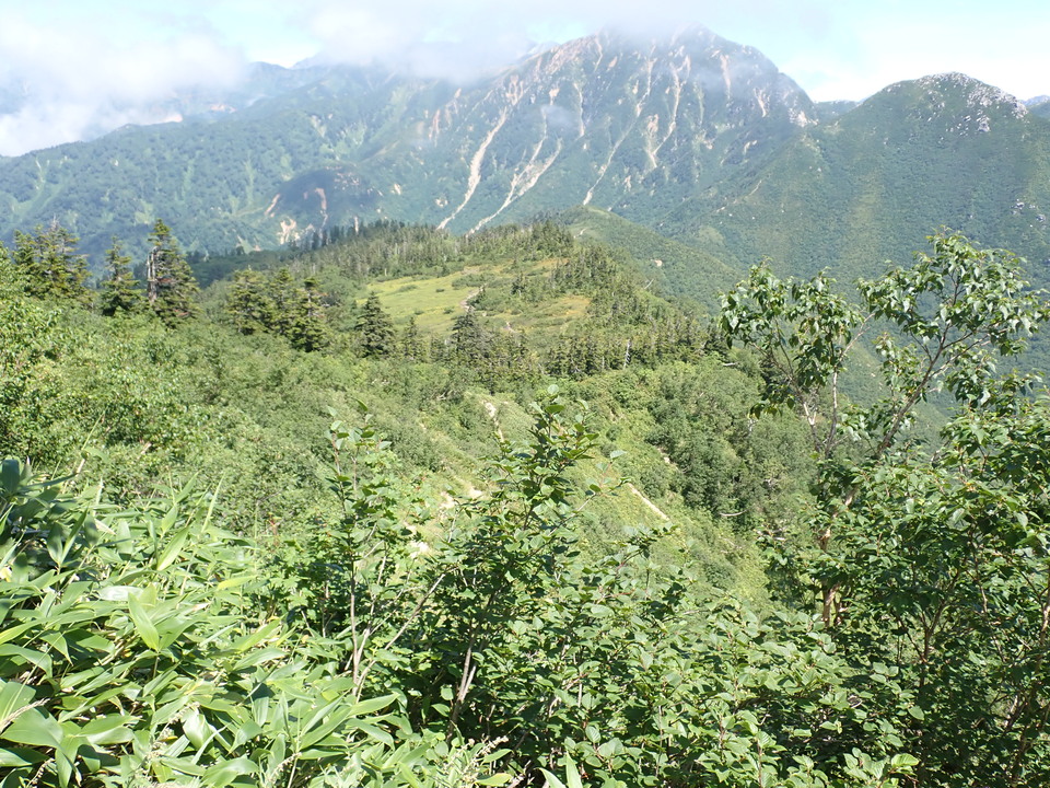 P8273066_mid.jpg