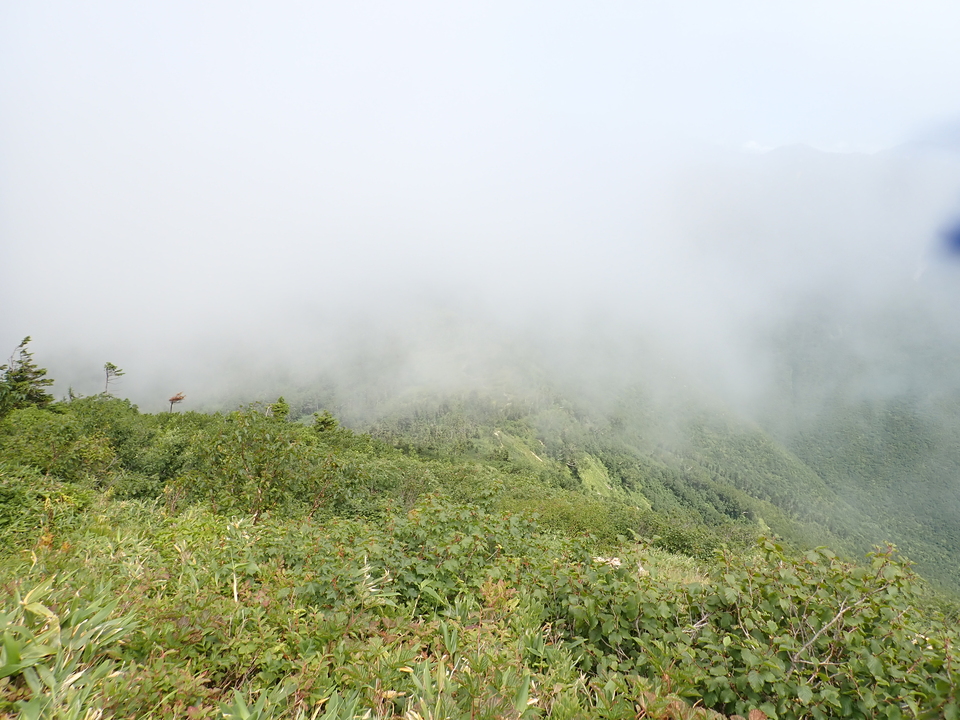 P8273067_mid.jpg